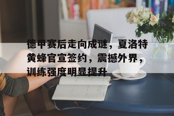 德甲赛后走向成谜，夏洛特黄蜂官宣签约，震撼外界，训练强度明显提升的简单介绍