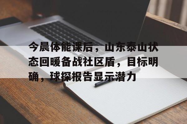 赛事数据分析-包含今晨体能课后，山东泰山状态回暖备战社区盾，目标明确，球探报告显示潜力的词条